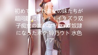 初めて出来た彼女の妹たちが超问题児ビッチ！イタズラ双子痴女の言いなりち○ぽ奴隷になったボク 铃乃ウト 水色ノア