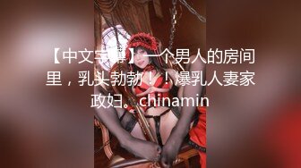 【中文字幕】一个男人的房间里，乳头勃勃！！爆乳人妻家政妇。chinamin