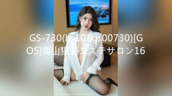 GS-730(h_101gs00730)[GOS]青山猥褻エステサロン16