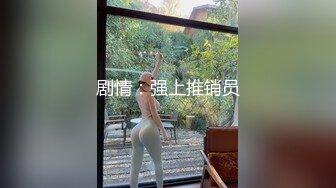 剧情：强上推销员