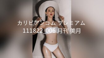 牛B大神商场女厕暗藏摄像头偷窥53位美女少妇嘘嘘 (29)