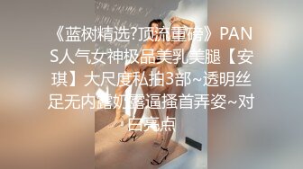 《蓝树精选?顶流重磅》PANS人气女神极品美乳美腿【安琪】大尺度私拍3部~透明丝足无内露奶露逼搔首弄姿~对白亮点