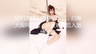 STP18307 外围小姐姐，白嫩大胸网红脸，沙发啪啪后入激情无限