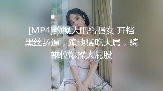 [MP4]约操大肥臀骚女 开档黑丝舔逼，跪地猛吃大屌，骑乘位爆操大屁股