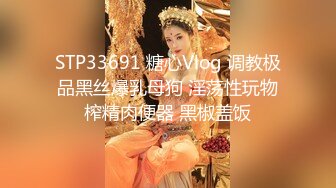 STP33691 糖心Vlog 调教极品黑丝爆乳母狗 淫荡性玩物榨精肉便器 黑椒盖饭