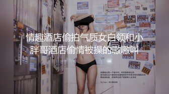 情趣酒店偷拍气质女白领和小胖哥酒店偷情被操的嗷嗷叫