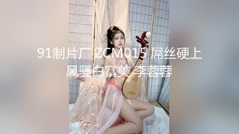 91制片厂 ZCM015 屌丝硬上风骚白富美 李蓉蓉