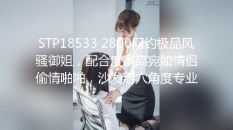 STP18533 2800网约极品风骚御姐，配合度很高宛如情侣偷情啪啪，沙发掰穴角度专业